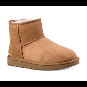 Ugg Classic Mini Short Shearling Booties
